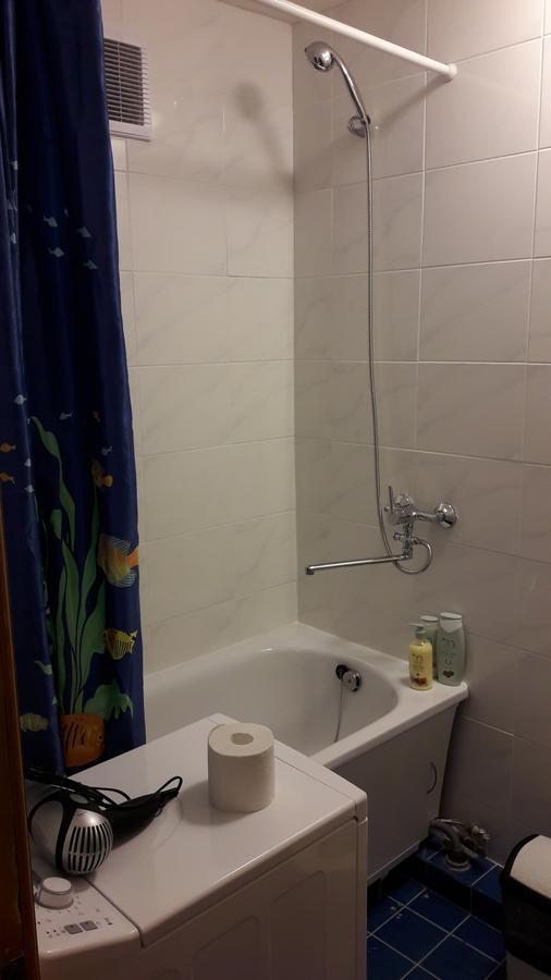 Grazinos Apartamentai Паневежис Екстер'єр фото