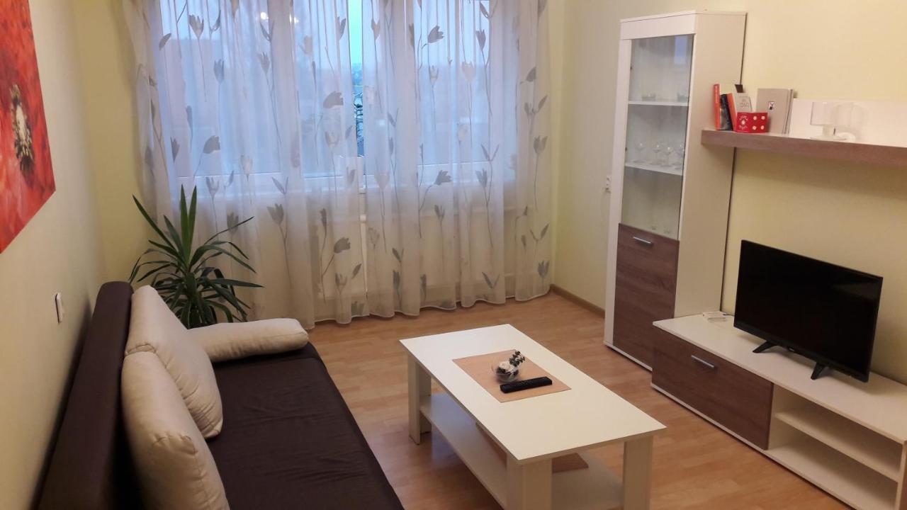 Grazinos Apartamentai Паневежис Екстер'єр фото