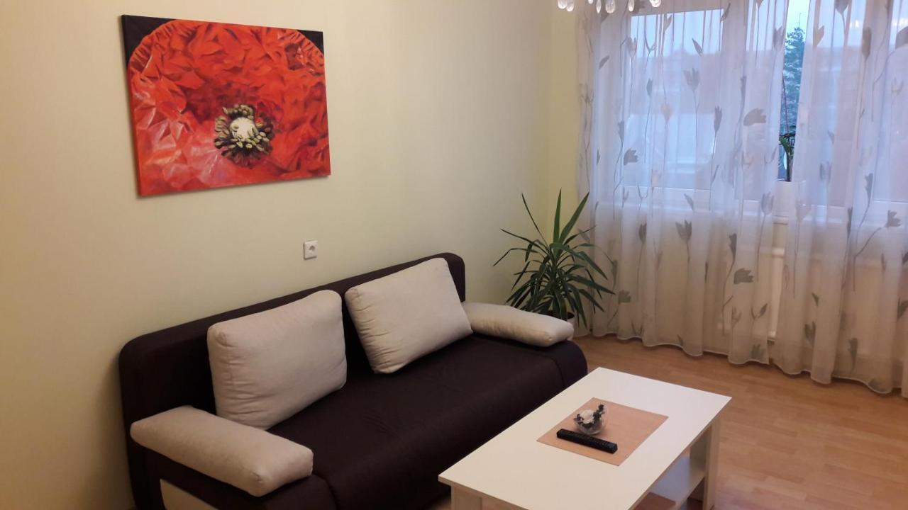 Grazinos Apartamentai Паневежис Екстер'єр фото